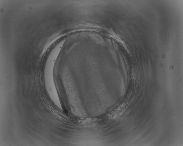 X0000067901352200605041607