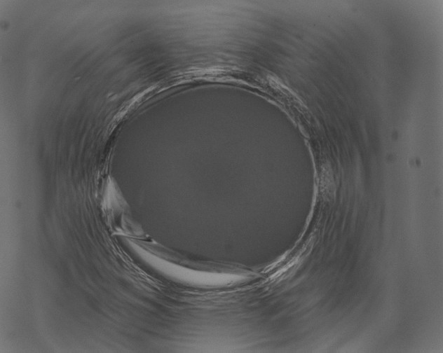 X0000067901353200605041607