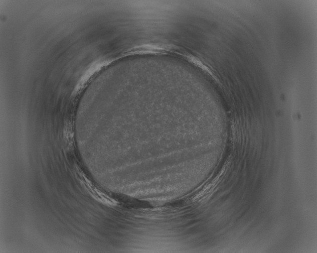 X0000067901355200605041607