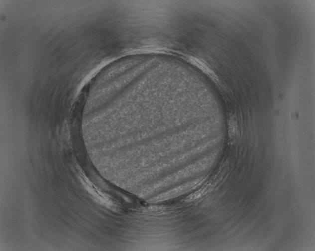 X0000067901356200605041607