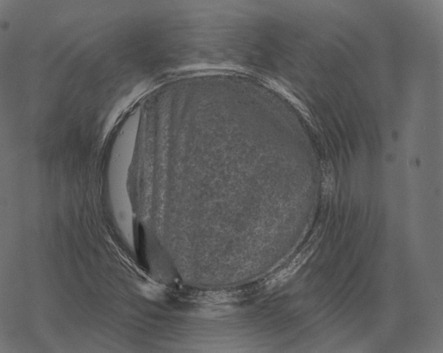 X0000067901357200605041607