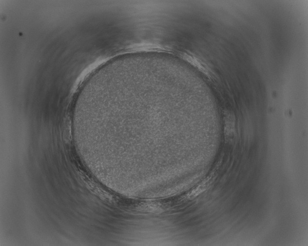 X0000067901358200605041607