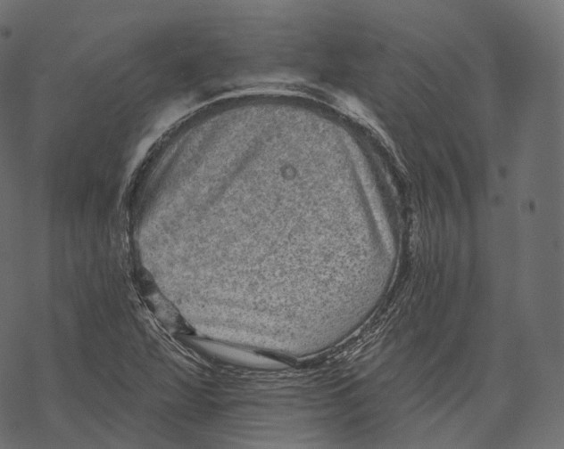 X0000067901360200605041607