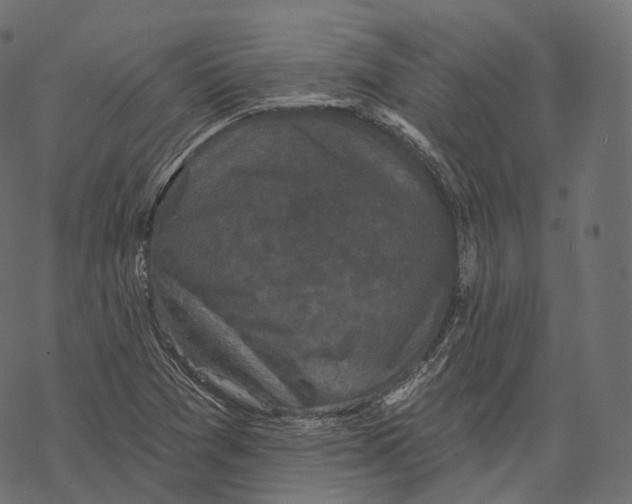 X0000067901361200605041607