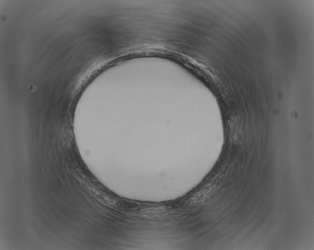 X0000067901363200605041607