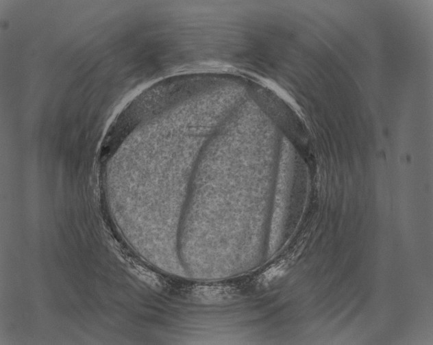 X0000067901364200605041607