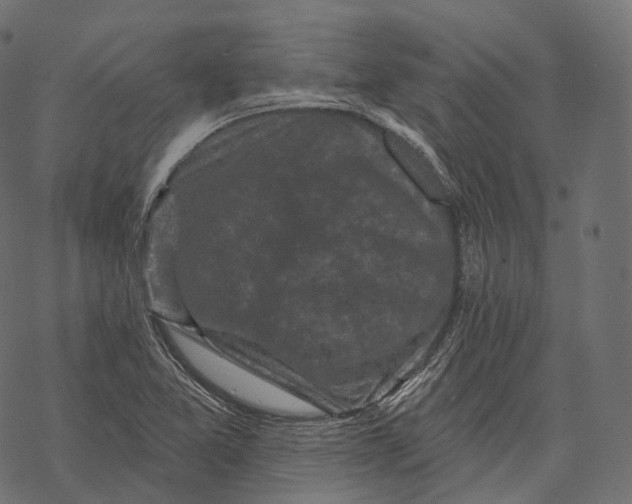 X0000067901365200605041607