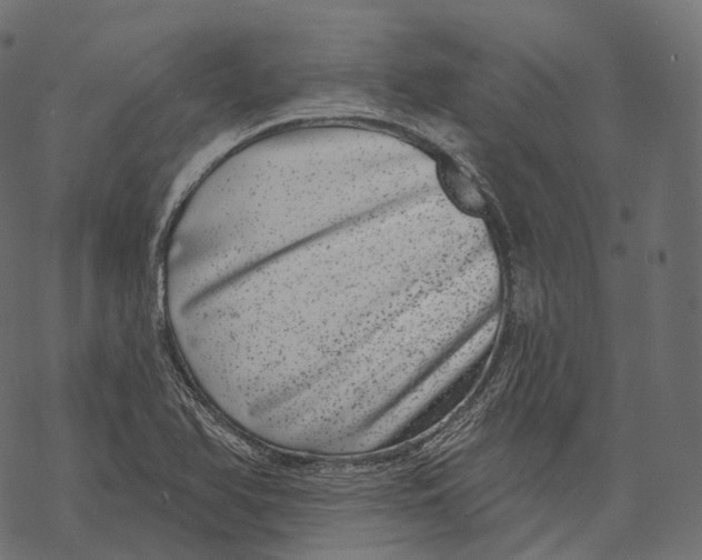 X0000067901366200605041607