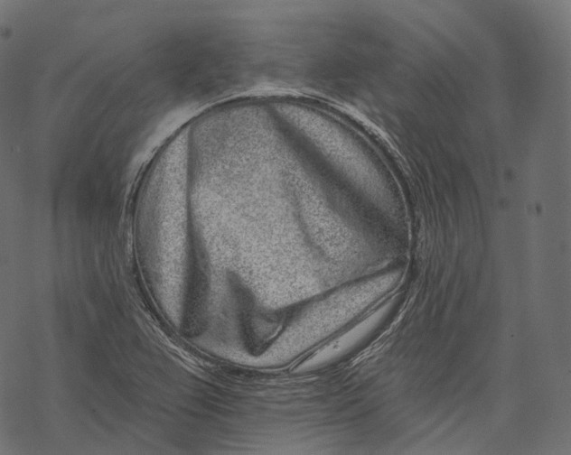 X0000067901367200605041607