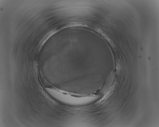 X0000067901369200605041607