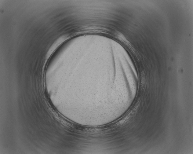 X0000067901370200605041607