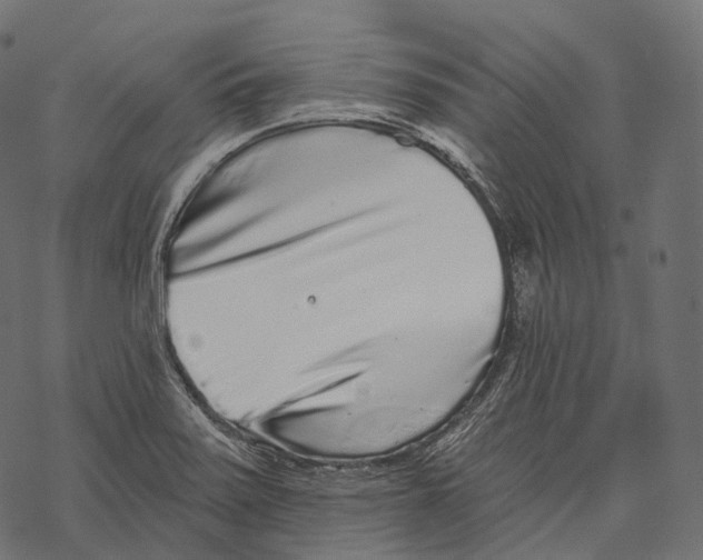 X0000067901371200605041607