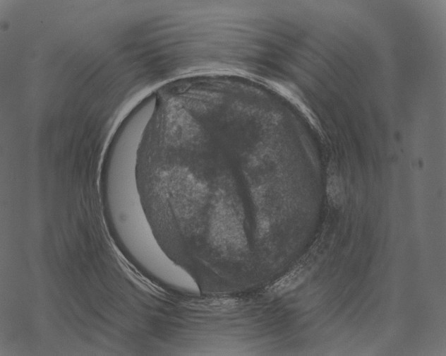 X0000067901372200605041607