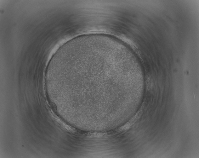 X0000067901374200605041607