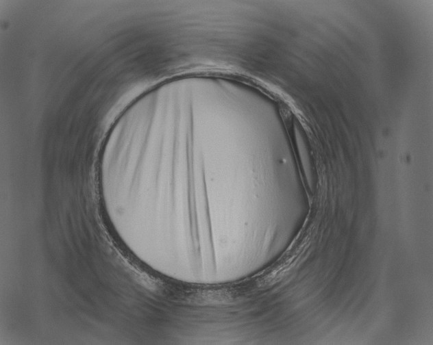 X0000067901375200605041607