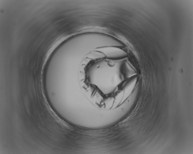 X0000067901376200605041607