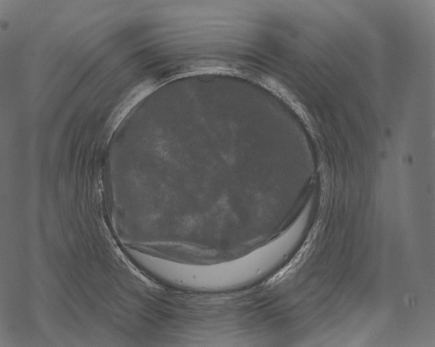 X0000067901377200605041607