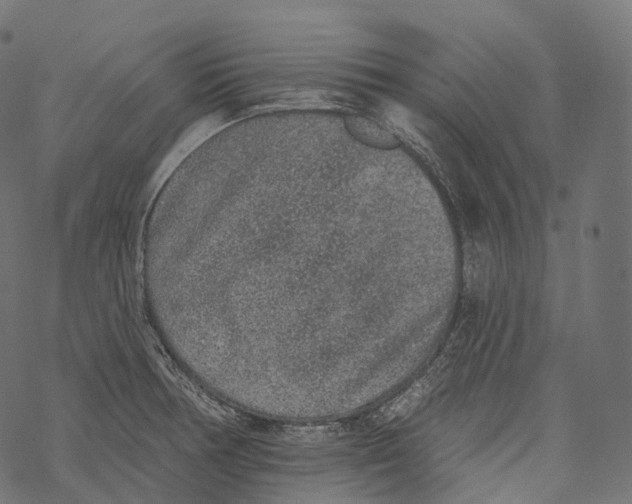 X0000067901378200605041607