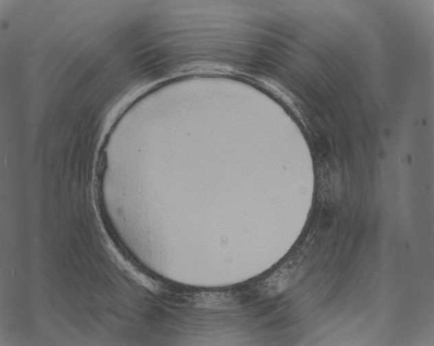 X0000067901379200605041607