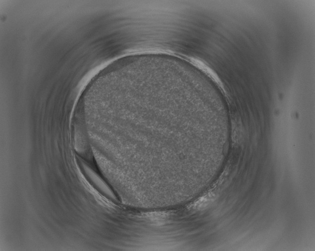 X0000067901380200605041607