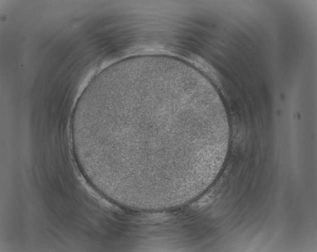 X0000067901382200605041607