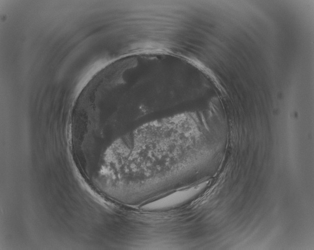 X0000067901383200605041607