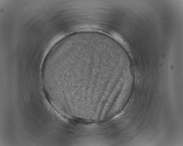 X0000067901384200605041607