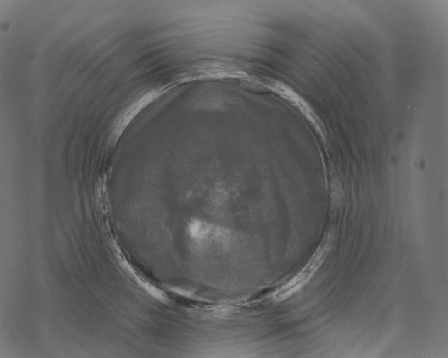 X0000067901385200605041607