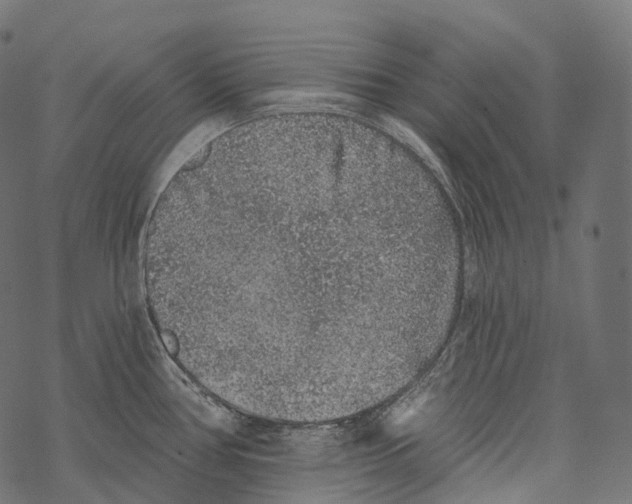 X0000067901386200605041607