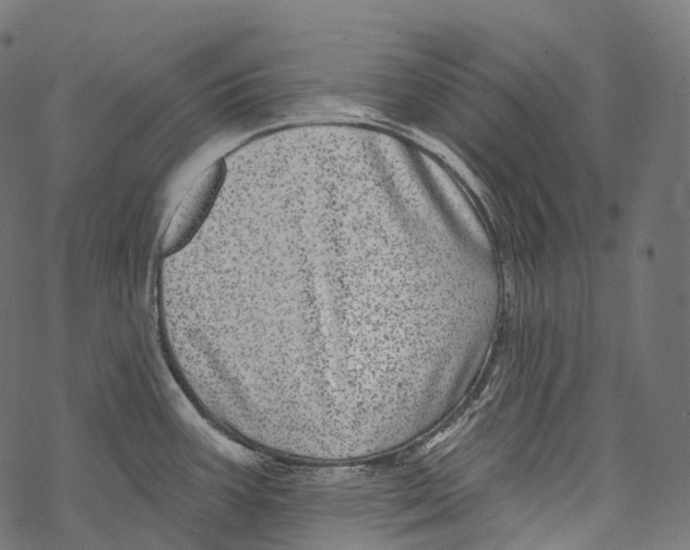 X0000067901387200605041607