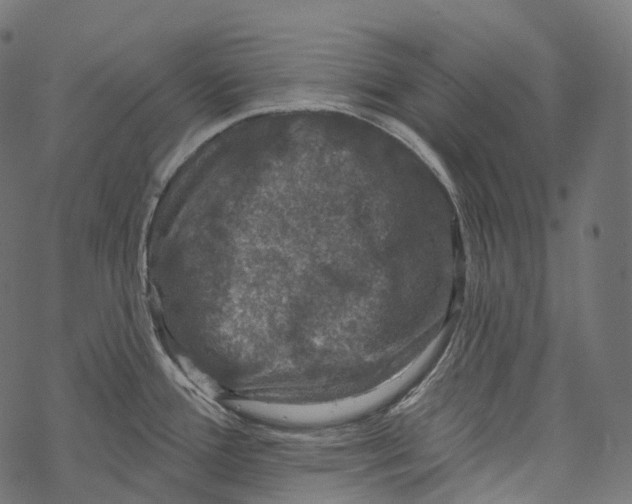 X0000067901388200605041607