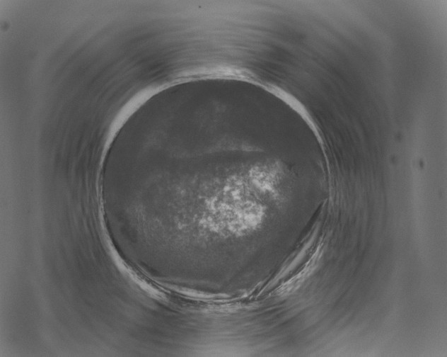 X0000067901389200605041607