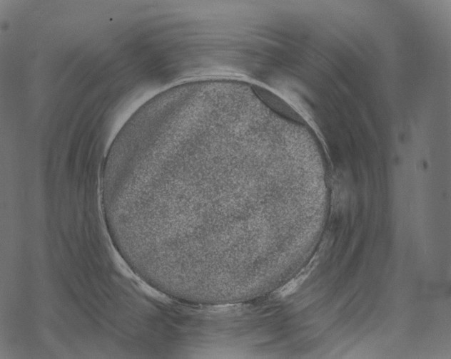 X0000067901390200605041607