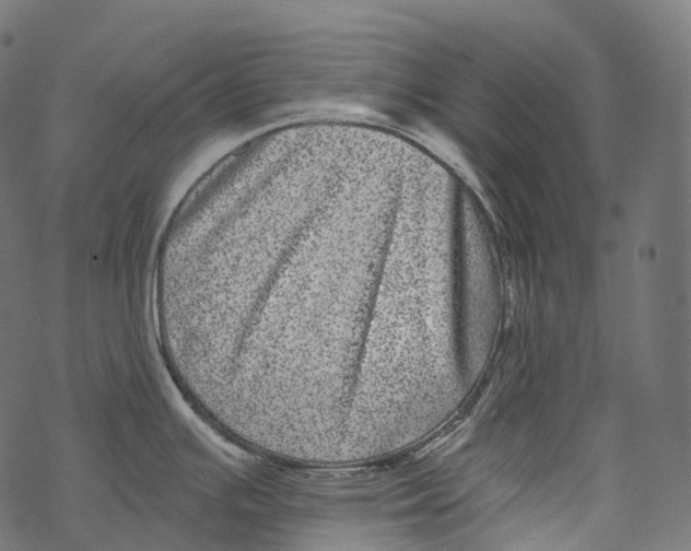 X0000067901391200605041607