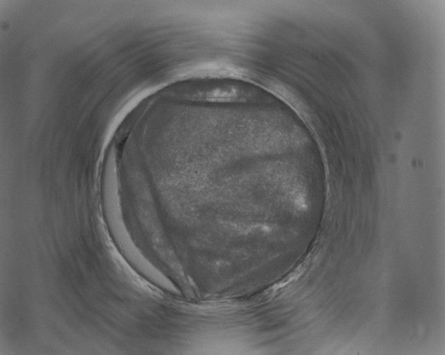 X0000067901392200605041607