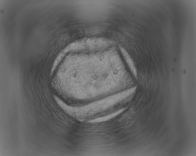 X0000067901393200605041606