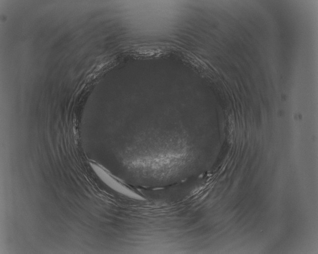 X0000067901394200605041606