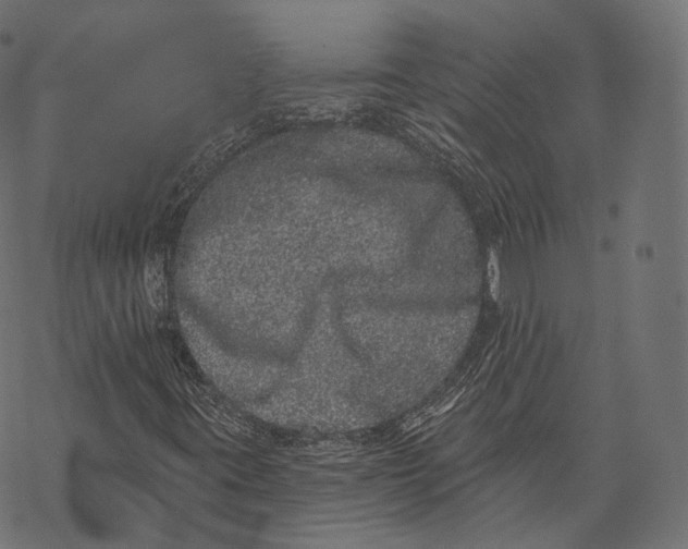 X0000067901395200605041606