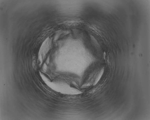 X0000067901396200605041606