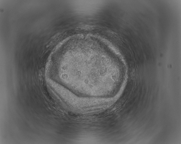 X0000067901397200605041606