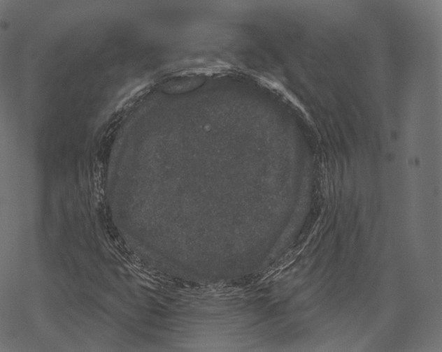 X0000067901399200605041606