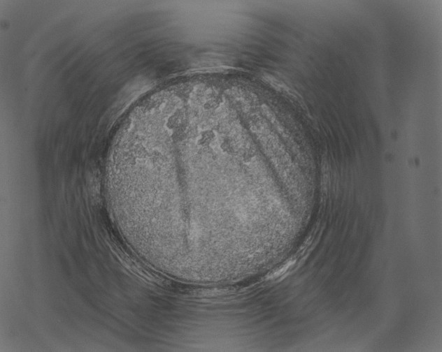 X0000067901401200605041606