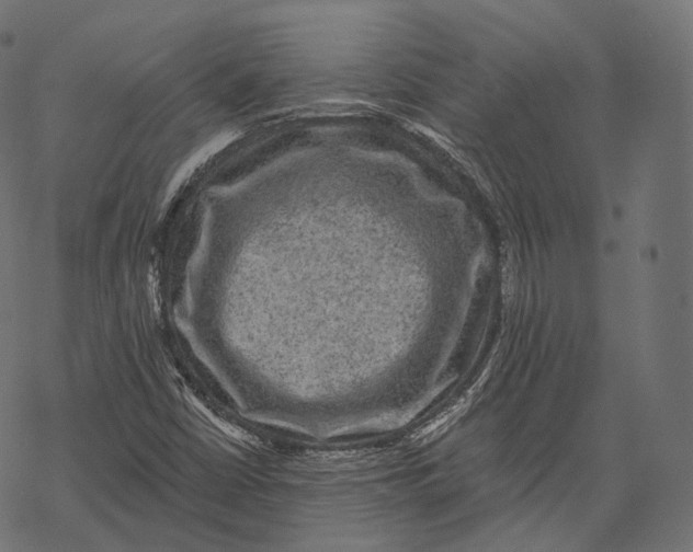 X0000067901402200605041606