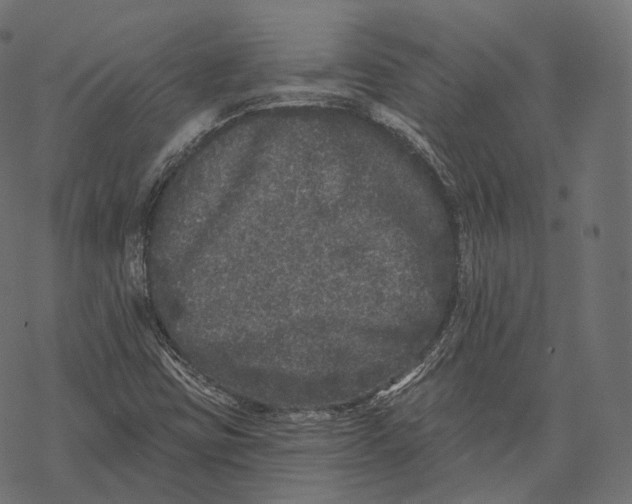 X0000067901403200605041606