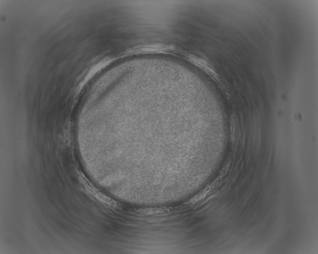 X0000067901404200605041606