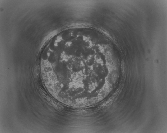 X0000067901405200605041606