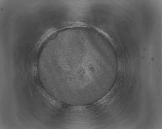 X0000067901407200605041606