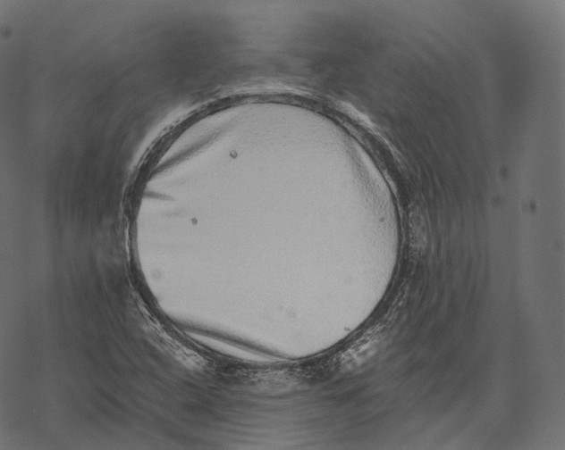 X0000067901408200605041606