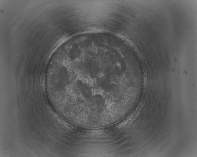 X0000067901409200605041606