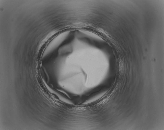 X0000067901410200605041606